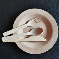 Eco-friendly bamboo disposable natural square  plates biodegradable